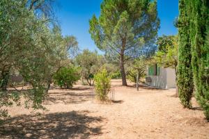 Maisons de vacances La villa Olea : photos des chambres