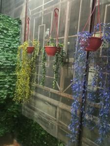 Luxury & Peaceful stay in Omaxe