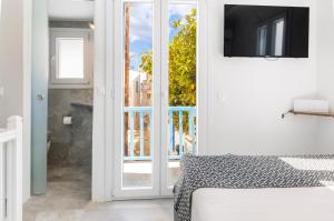 Panda Blue&White Downtown