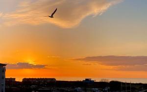 Strandhotel, App 3SH320