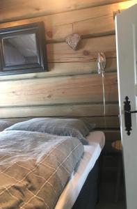 Luxurious 4 bedroom Mountain Cabin with Gaustatoppen View