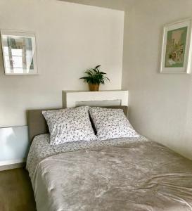 Studio Hyper centre ville