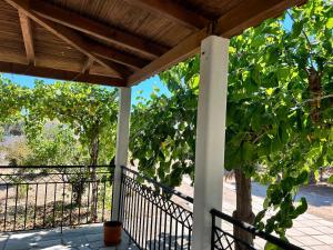 Rest & Relax holiday house in Katakolo