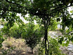 Rest & Relax holiday house in Katakolo