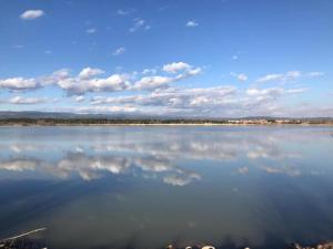 Villas Villa in Olonzac with Pool near Lac du Jouarres : photos des chambres