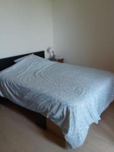 Maisons de vacances L-Eden des Pyrenees : photos des chambres