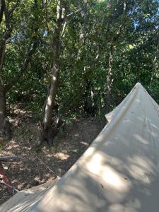 Tentes de luxe Tente Lodge avec Vue sur la Baie d-Ajaccio : photos des chambres