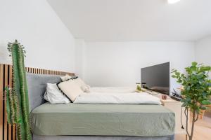 City Studio beim Grazer Augarten