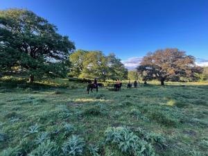 Il Gelsomino Bio Agriturismo