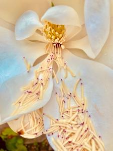 B&B / Chambres d'hotes La maison Gerval : photos des chambres