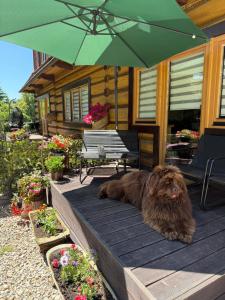 Apartament Kierunek Tatry