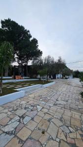 Dar El Bondek companion pool jacuzzi forest