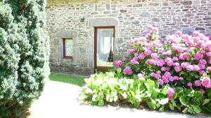 Maisons de vacances Eine Kleine Oase Der Ruhe Am Meer : photos des chambres