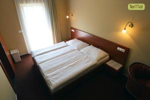 Premium Double Room (No Balcony) room in Penzion Termal