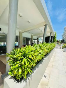 Marina Spatial Studio type condo