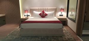 Rosastays Hansi, Hisar