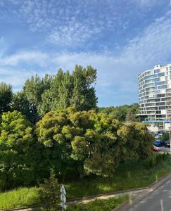 SulMare Apartament Nadmorski