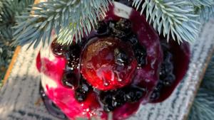 Pensiunea Ursul Carcotas