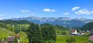 Pensiunea Ursul Carcotas