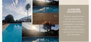 Appartements Agapanthe location : photos des chambres