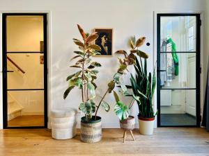 Your Beautiful Home in Haarlem