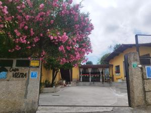 Casa Da Vieira