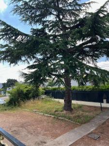 Appartements Studio Platanes 3 - Proche Disneyland - Parking gratuit - Meaux : photos des chambres