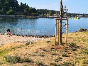 Near the beach PELAGIC