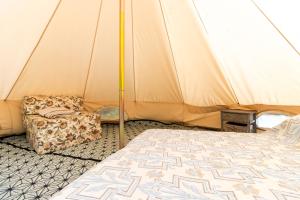 Campings Glamping tente : photos des chambres