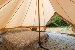Campings Glamping tente : photos des chambres