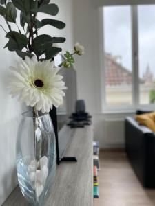 Duplex Apartment in the Heart of Ghent with Fantastic Views