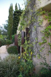 Appartement à Anthéor avec vaste piscine, vue mer et montagne