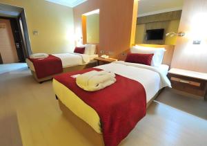 Standard Twin Room room in Ramada Usak