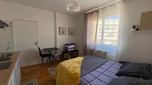 Appartements Les studios du Cercle : photos des chambres