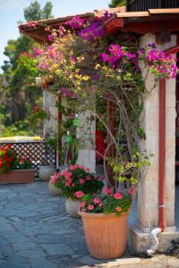 First in the sea with amazing view house
