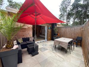 Nid chaleureux proche de locéan