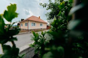 Pensiunea Patakparti 3