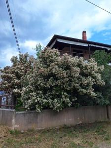 Garden maisonnette 2-bedrooms sleeps 6 adults 200m from sandy beach