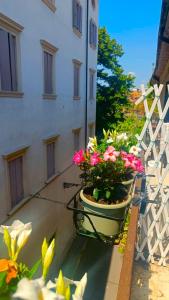 Happy Place, Verona centro