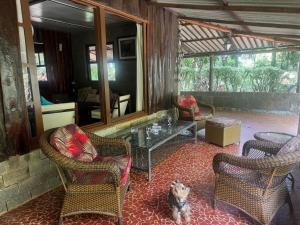 Sítio Pajuçara - Chalé 1 - Dentro do Parque Nacional da Serra dos Órgãos - Acesso ao açúde e cachoeira dentro da propriedade