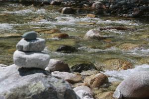 Campings Alivi Di A Restonica : photos des chambres