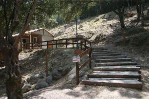 Campings Alivi Di A Restonica : photos des chambres