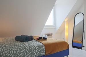 Appartements LE DUPLEX BORDERLINE , balade au bord du Rhin : photos des chambres