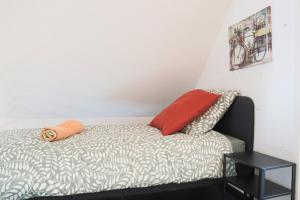 Appartements LE DUPLEX BORDERLINE , balade au bord du Rhin : photos des chambres