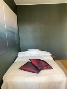 Sielukas asunto funkistalossa