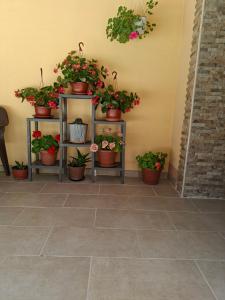 Apartmani Milica Dojran