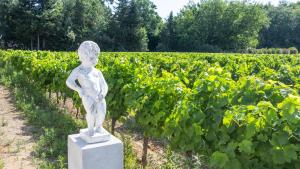 Villas JAMES FCD56 - luxury villa with pool for rent in the vineyards near Saint Tropez : photos des chambres