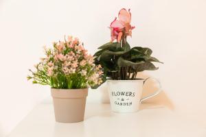 Belvedere House 2 in Bologna Center