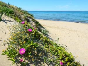 Apartment Desvelos by Interhome img48