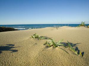 Apartment Sentimentos by Interhome img39